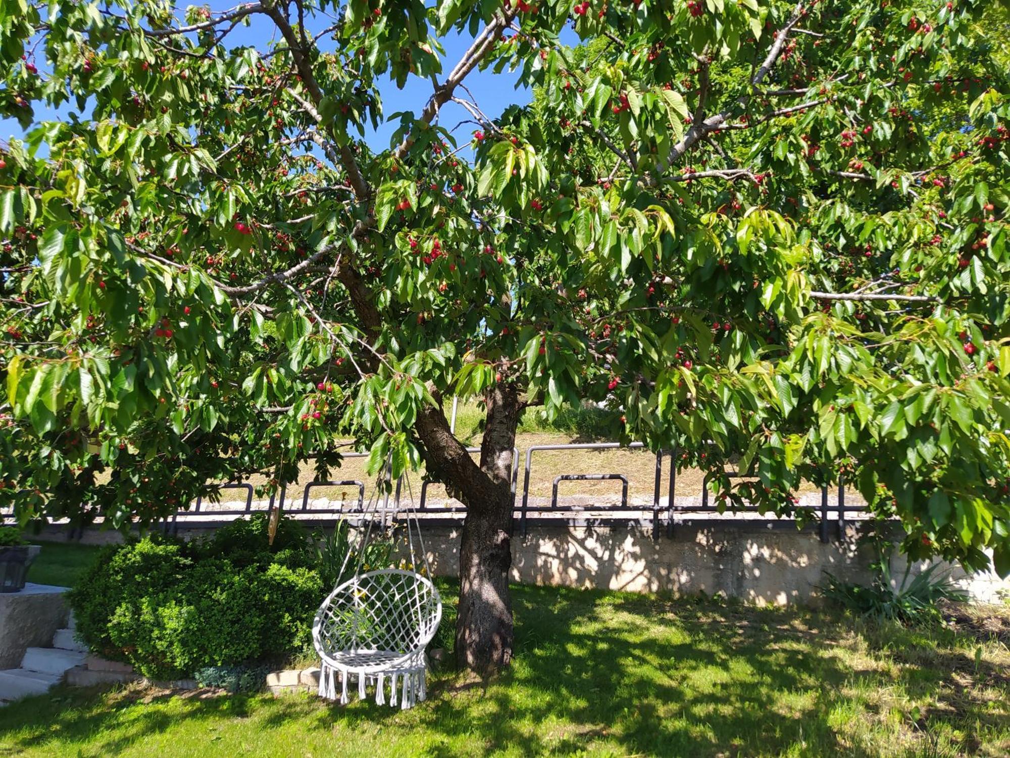 Apartamento Casa Zucol Sarnonico Exterior foto